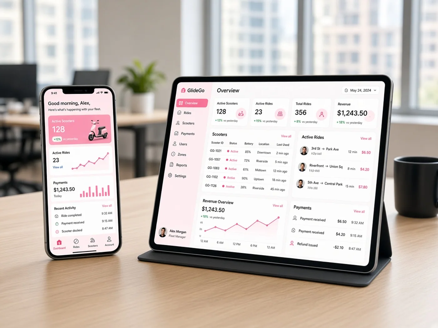 Project overview