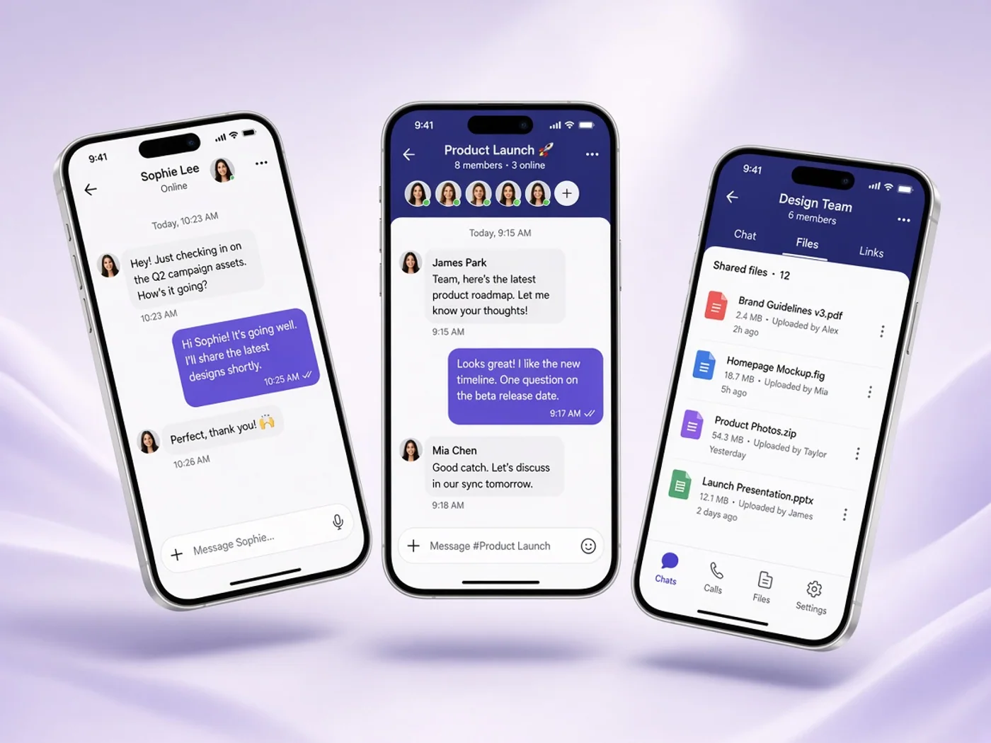Project features