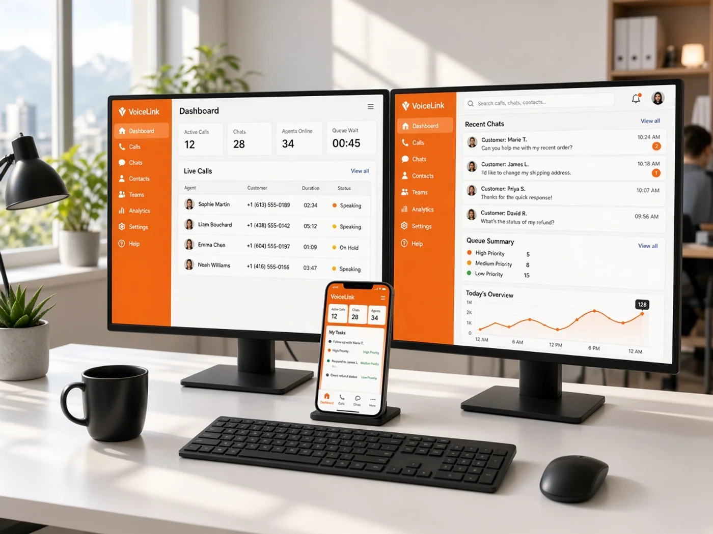 Project overview