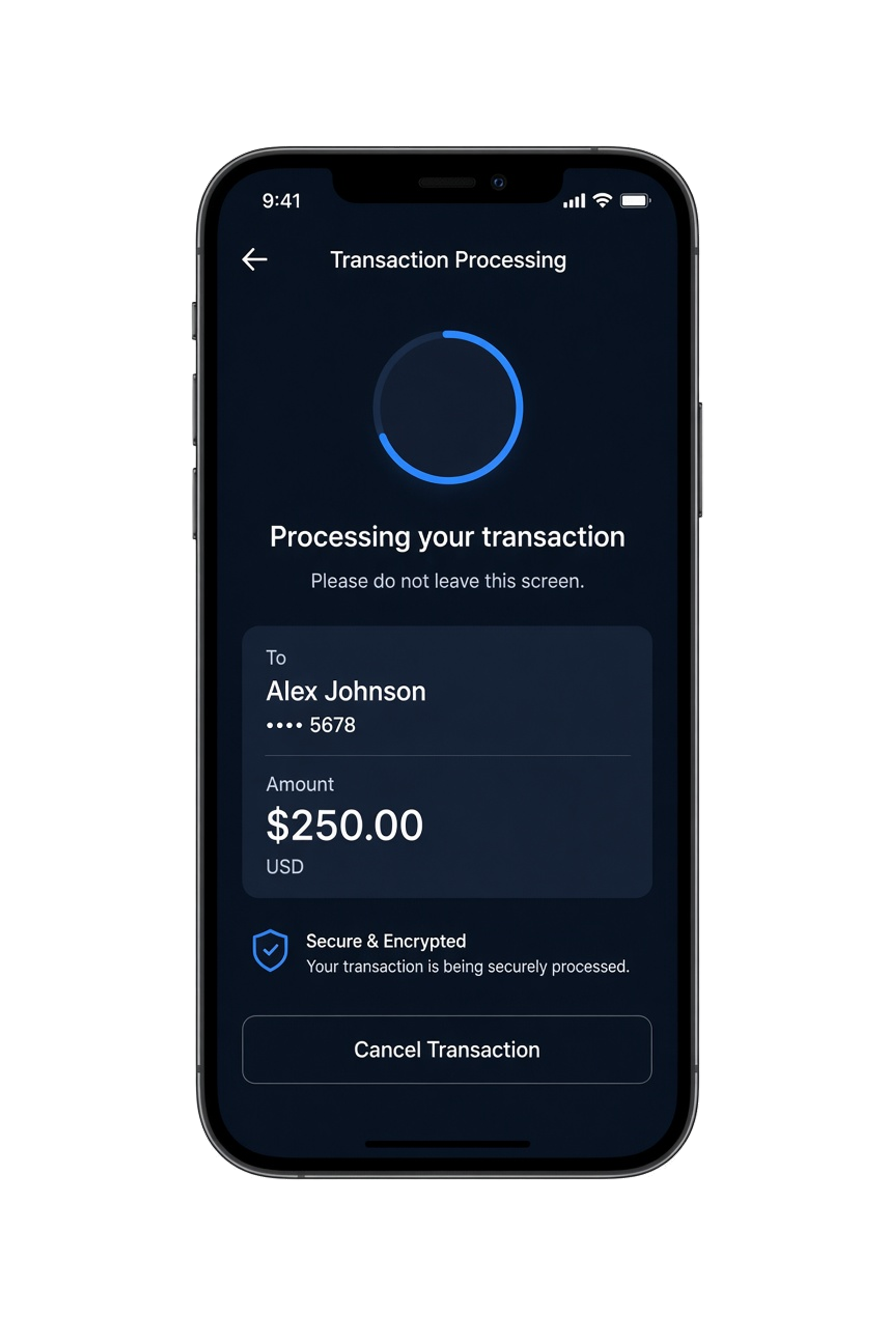 FIS clone transaction processing app