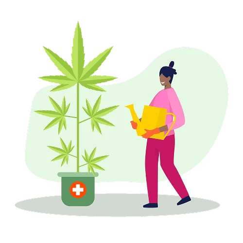 Custom Cannabis Delivery App Development