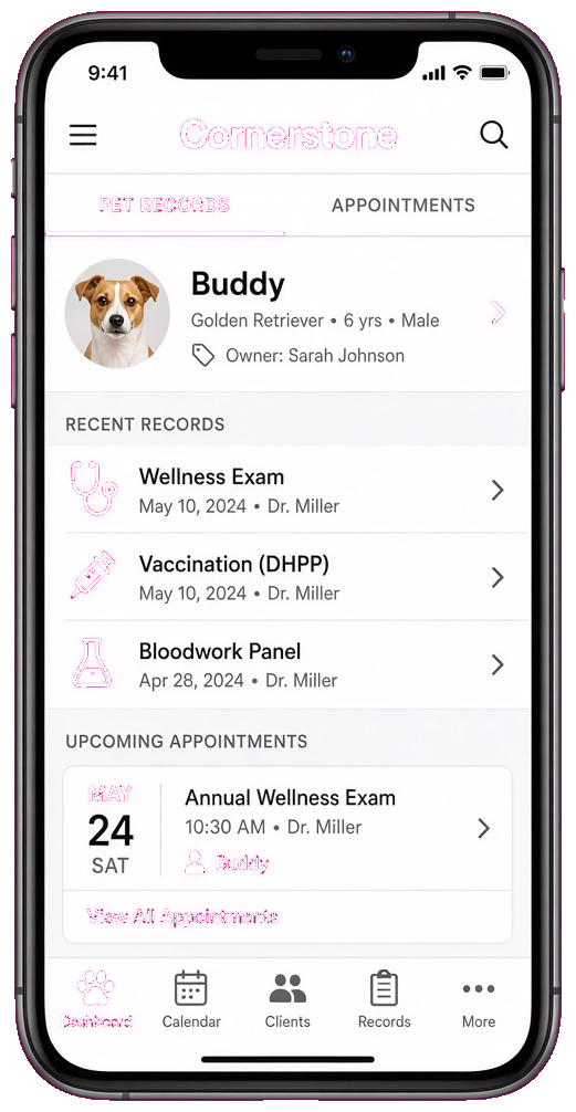 Cornerstone clone veterinary software