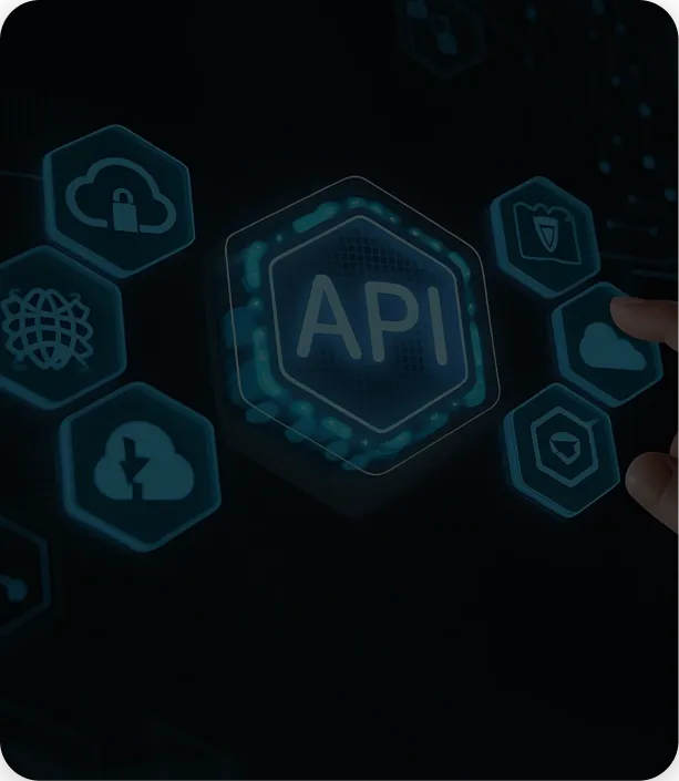 API & System Integration