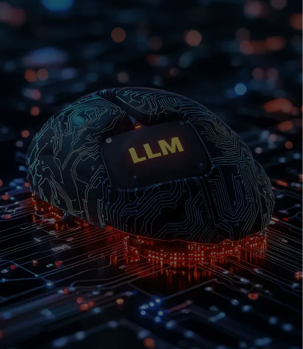 Large Language Models (LLMs)