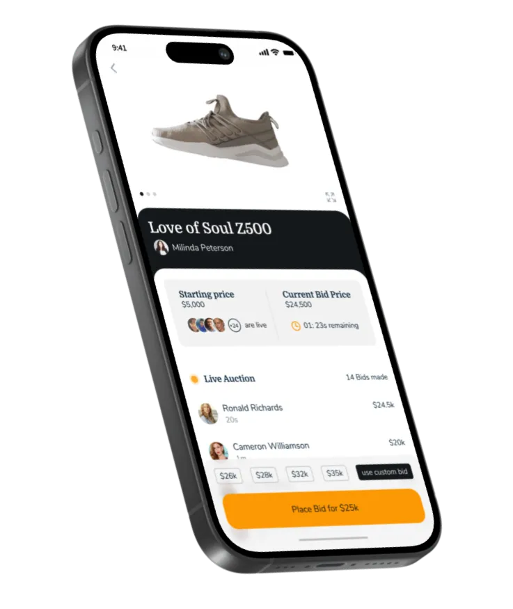 Bidvero preview screenshot