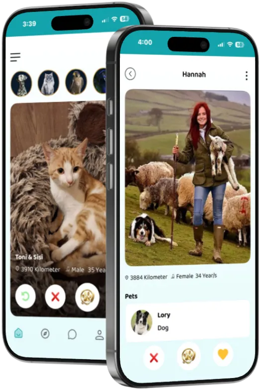 BuddyPaws App preview screenshot