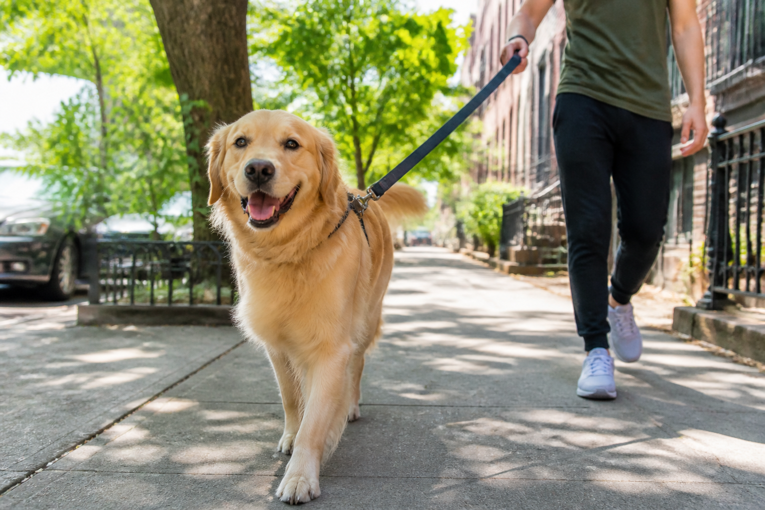 Apps Like Wag inspired last mile delivery app preview