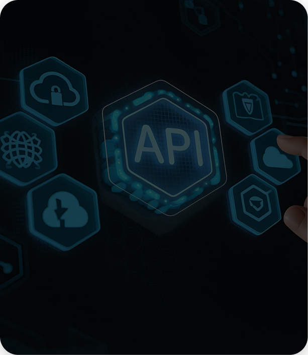 API & System Integration