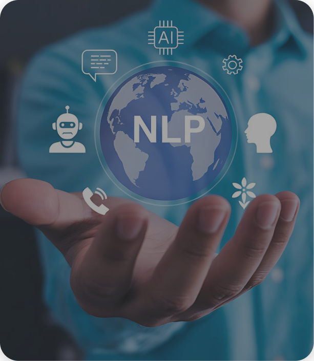 Natural Language Processing (NLP)