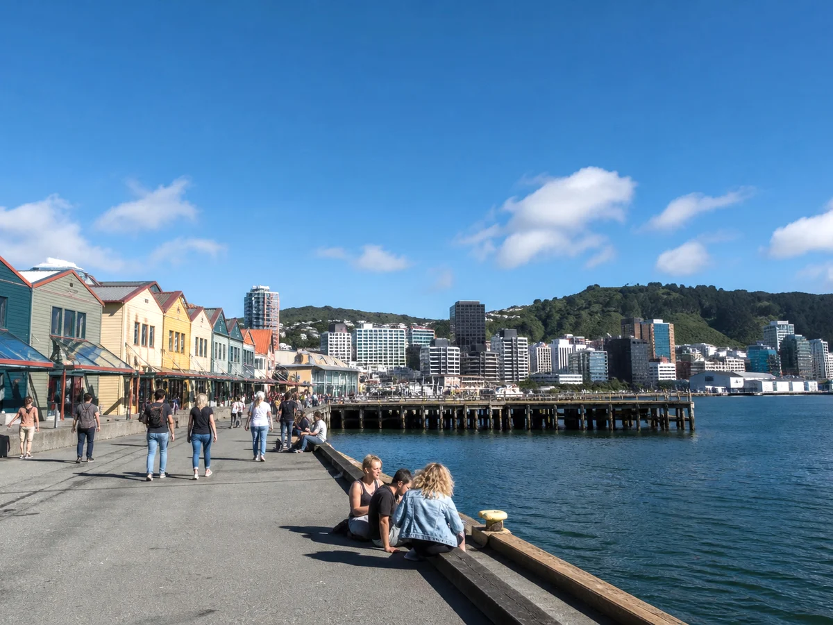 IT staff augmentation for New Zealand government services