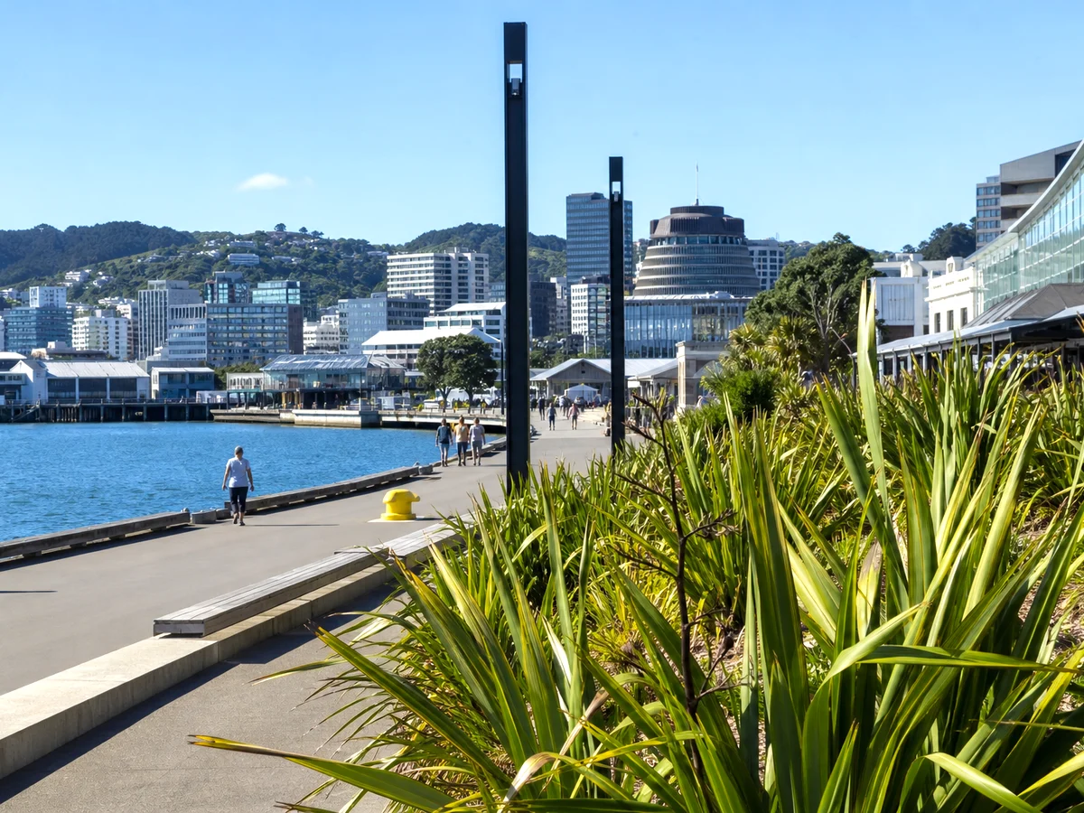 Python development for New Zealand government services